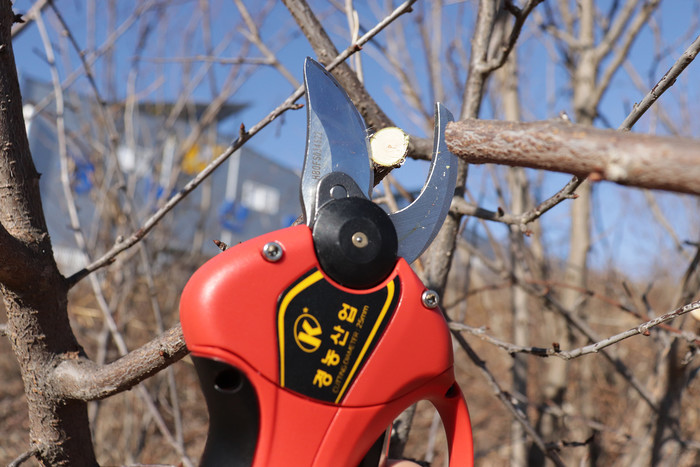 Wireless Electric Pruning Shears KN-P25