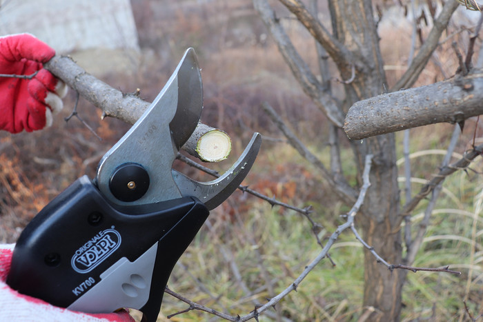 Italian Volpi Electric Pruning Shears KV700